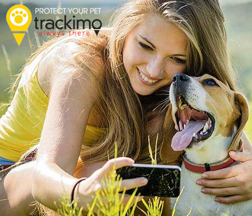 Trackimo voor huisdieren